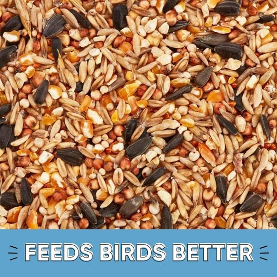 Happy Beaks - Wild Bird No Wheat Seed Mix